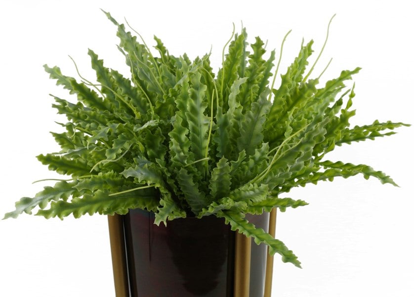 Leaf 40cm Artificial Crocodile Fern Plant