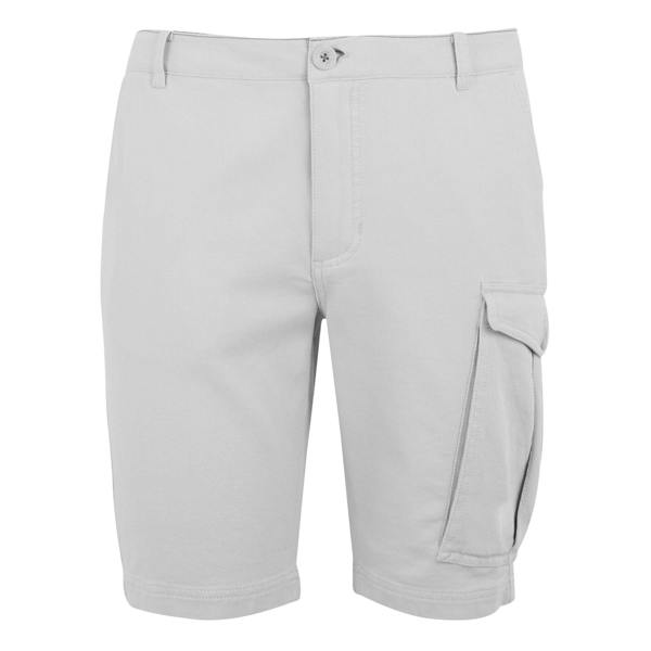 Regatta Mens Bendrick Shorts - Iceberg