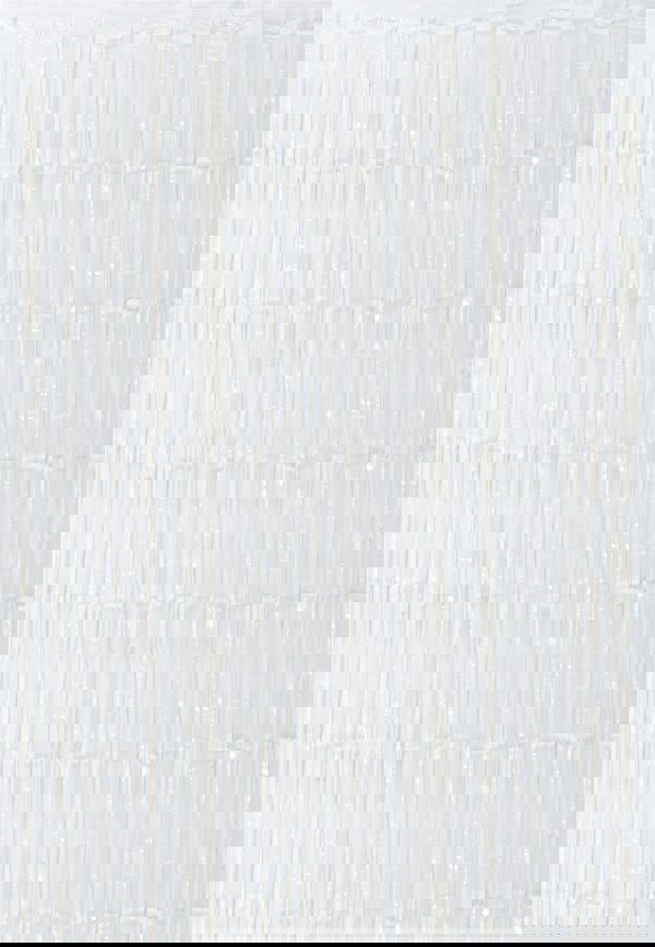 Cheetah Shimmer Tinsel Curtain, 2.5M x 1M White