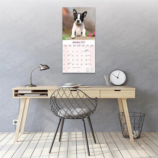 Boston Terrier Calendar 2027, Wall Calendars, Month To View, Dogs, Gift