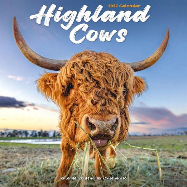 Highland Cows Calendar 2027, Wall Calendars, Month To View, Animals, Gift