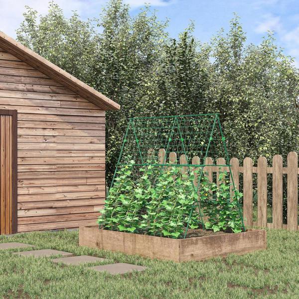 Tomato Cage