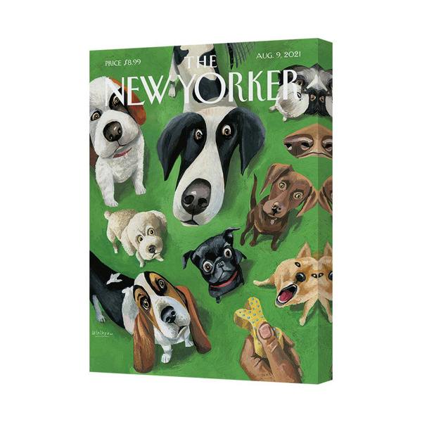 Benjamin Tate Design The New Yorker Dog Canvas Art Print Gallery Wrapped UK Made