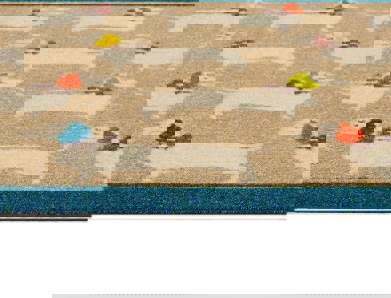 Howler & Scratch Patterned Bright Doggie