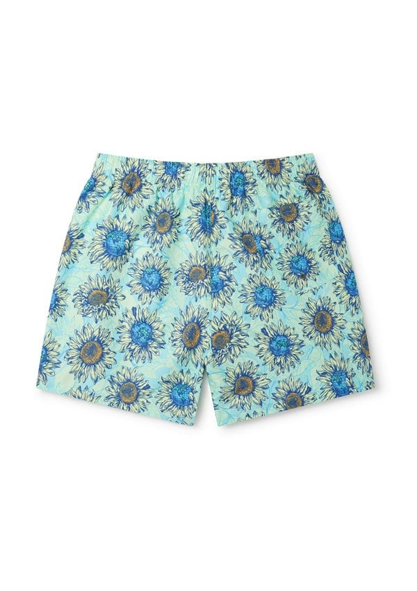 BOARDIES Helianthus