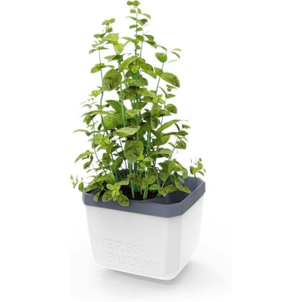 HERBS BUDDY herb pot with water reservoir - White