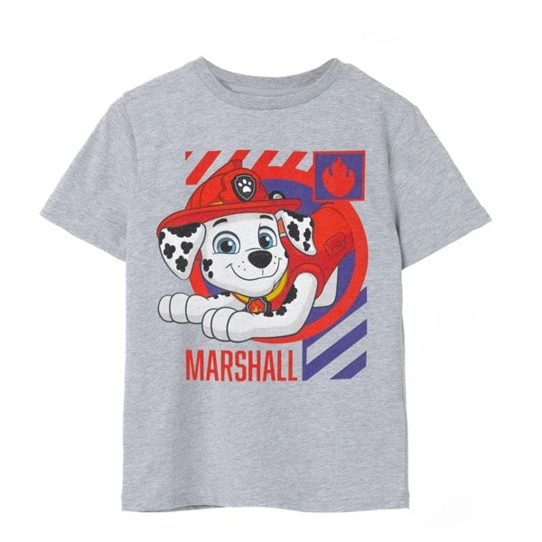 Paw Patrol Boys Marshall T-Shirt - Grey Marl