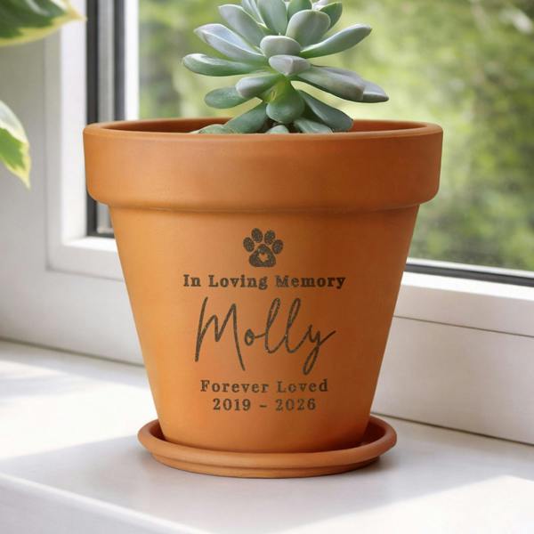 Personalised terracotta pet memorial plant pot sitting on a windowsill with saucer, engraved with a pawprint, In Loving Memory, Molly, Forever Loved, 2019 - 2026.