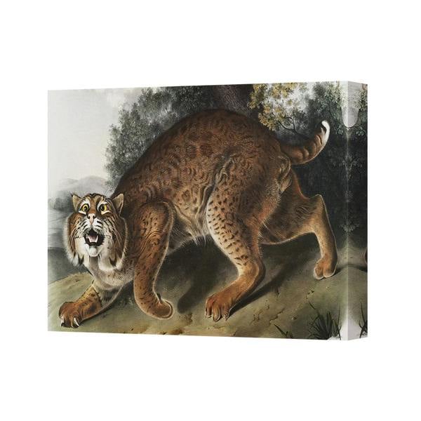 Benjamin Tate Design Dynamic Tiger On The Run Canvas Wall Art Print 3050