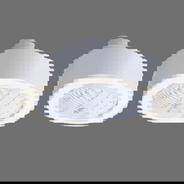Dia 55cm 3-Wind Ceiling Fan with LED Light and Remote Control