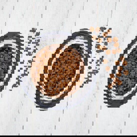 Clinivet Large Breed Puppy Food