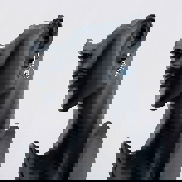 T. H. Baker Sterling Silver Blue Sapphire Dropper Earrings E6478T