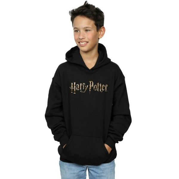 Harry Potter Boys Full Colour Logo Hoodie - Black