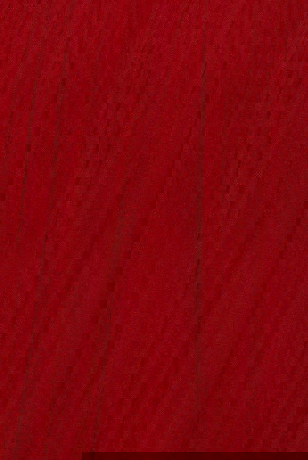 Sleeveless Pleated Dobby Mesh Corsage Maxi Dress - Red DR4294