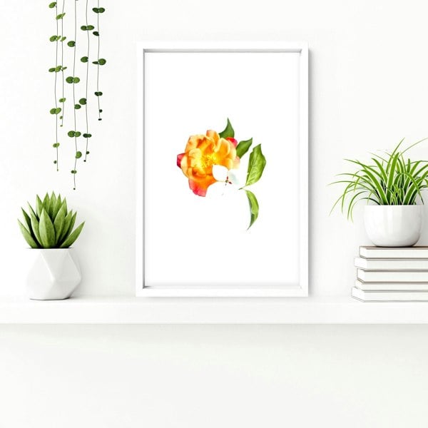 Framed wall art for Bathrooms | set of 3 wall art prints