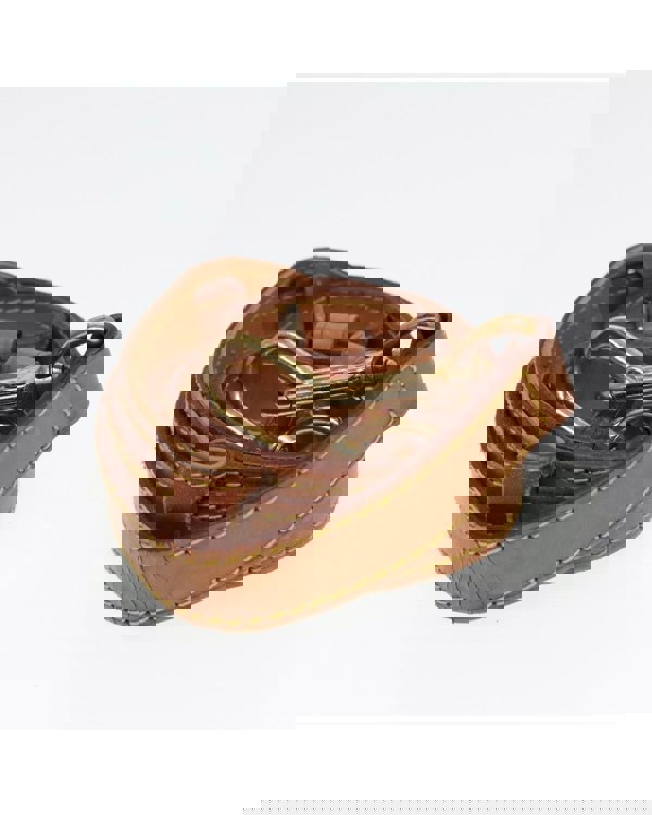 195223994.jpg