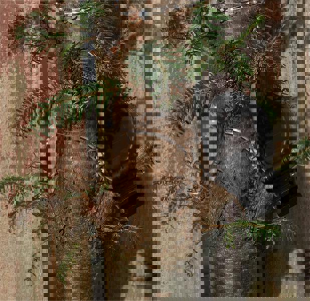 Luxform Solar 50 Led Microlight Pearl Romantic Pink