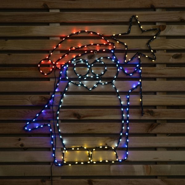 Samuel Alexander 58cm x 52cm Light up FlexiBrights Christmas Penguin with Star & 221 Multi-Coloured LEDs