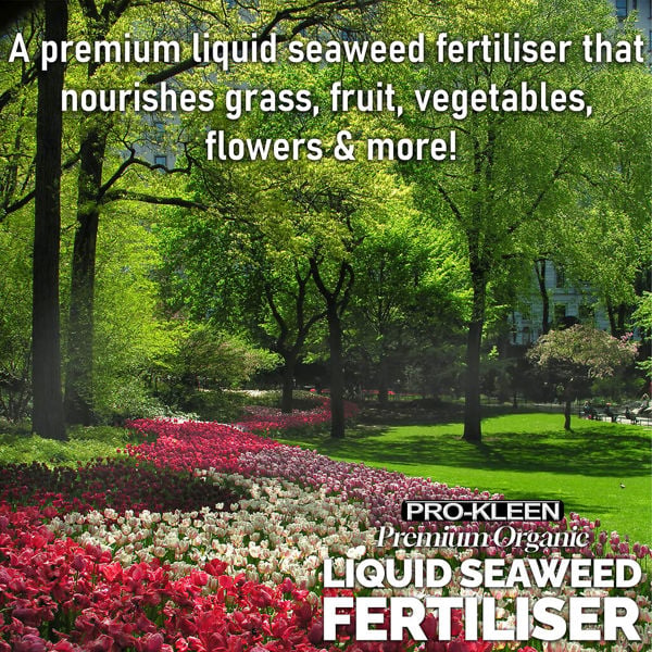 ProKleen Pro-Kleen 10L Liquid Seaweed Fertiliser Ascohyllum Seaweed Extract for Grass Vegetables Fruit Flowers Shrubs Lawns Trees