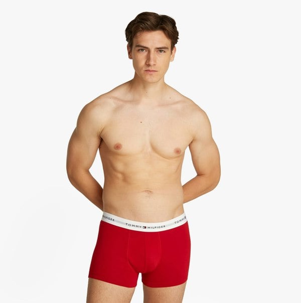 Tommy Hilfiger 3 Pack Mens Logo Waistband Trunks Multicoloured