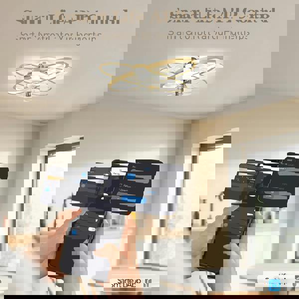 Ceiling Fan With Light