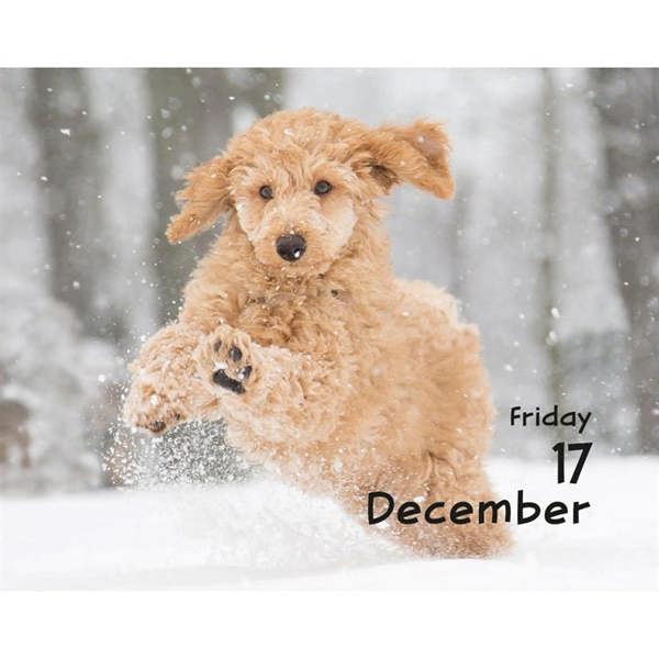 Puppies Mini Desk Calendar 2027, Desk Calendars, Day To View, Dogs, Gift