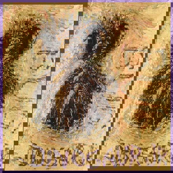 Dinosaur Jr 'Bug' LP Black Vinyl