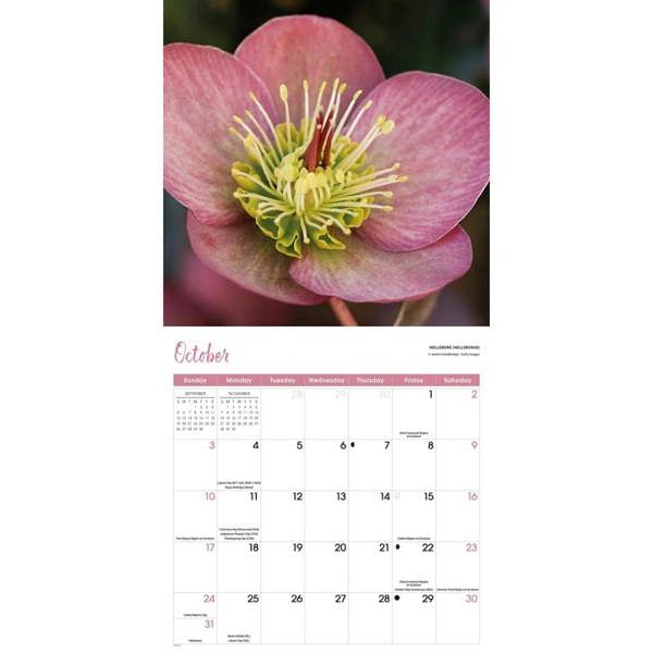 Flowers Calendar 2027, Wall Calendars, Month To View, Lifestyle, Gift