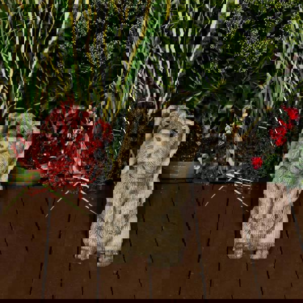 Cheeky Stone Cast Airedale Terrier Garden Statue