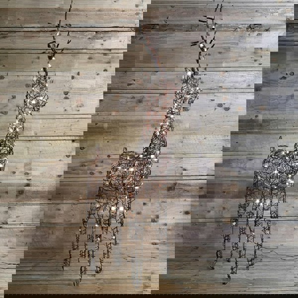 Samuel Alexander 1m (53") Brown Outdoor Standing Wicker Reindeer Decoration With LED Lights