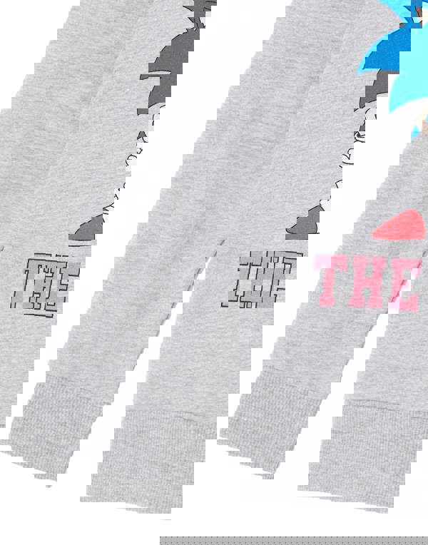 Sonic the Hedgehog Girls Grey Collegiate Sonic & Amy Hoodie