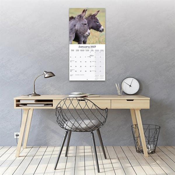 Donkeys Calendar 2027, Wall Calendars, Month To View, Animals, Gift