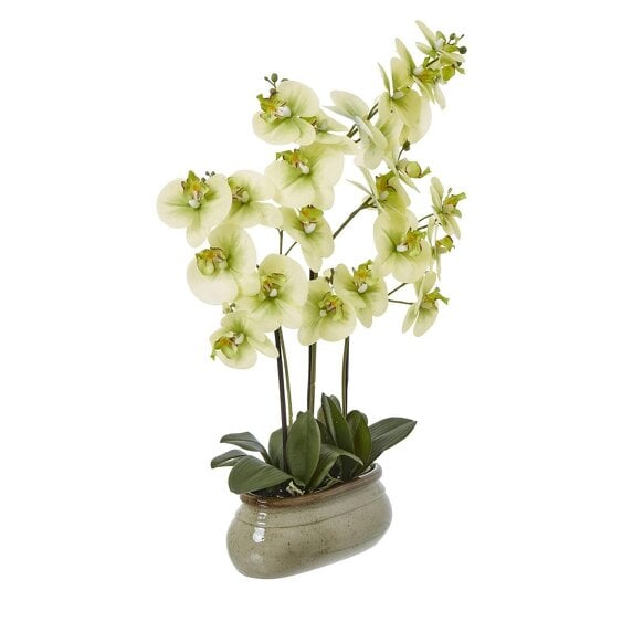 Wyld Haus Artificial Plant Large Green Orchid In Ceramic Pot