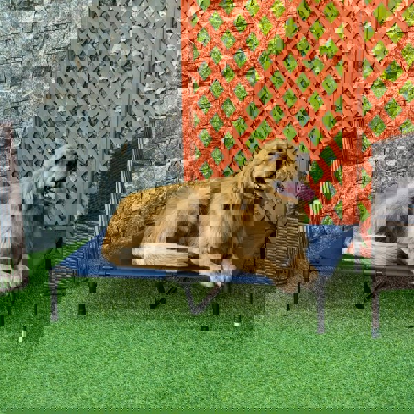 D1-0239