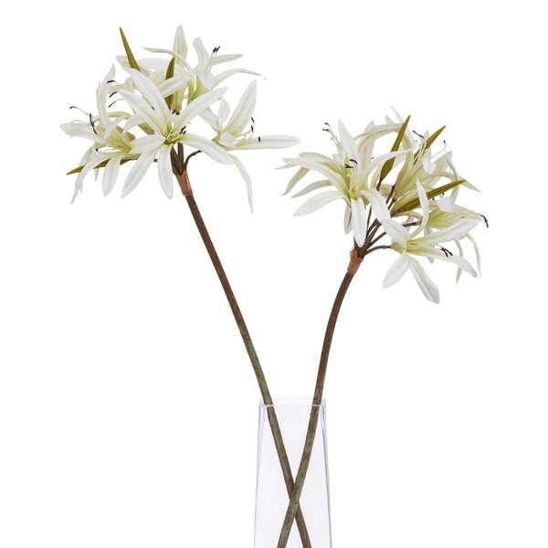 Wyld Haus Set of 3 Artificial Flowers White Nerine Lily Stems