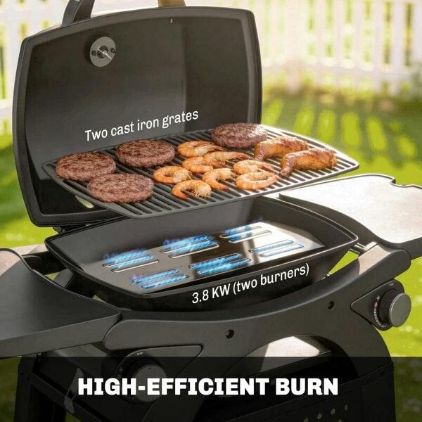 Bobobiy 2 Burner Gas Grill with 2 Side Tables, 3.8 KW Barbecue Grill with Cast Iron Grates, 2-in-1 Tabletop BBQ with Wheels