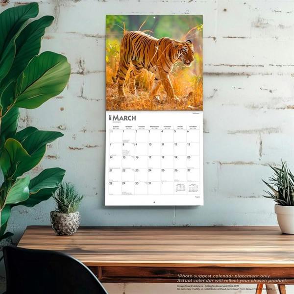 Tigers Calendar 2027, Wall Calendars, Month To View, Animals, Gift
