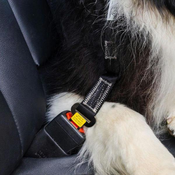 EzyDog Click Lead Handle for Seatbelt