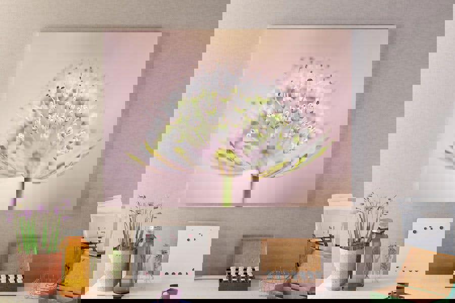 delicate astrantia flower art print on canvas