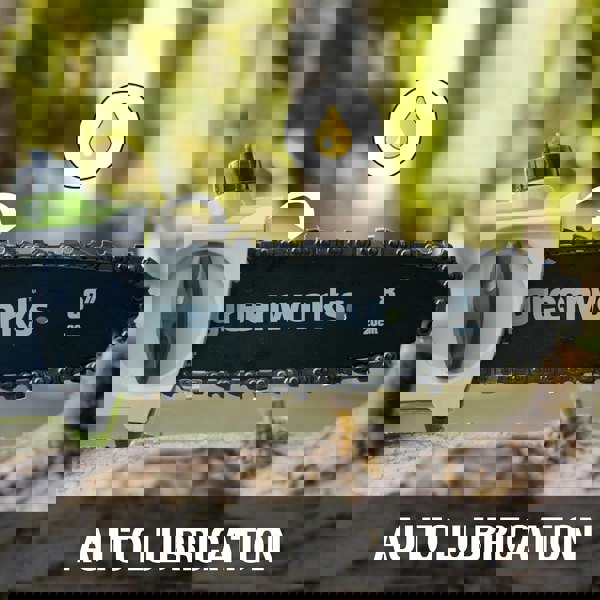 Greenworks 40V 20cm Pole Bar including Battery and Charger Green