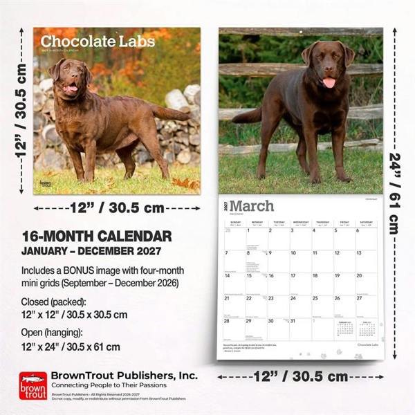 Chocolate Labs Calendar 2027, Wall Calendars, Month To View, Dogs, Gift