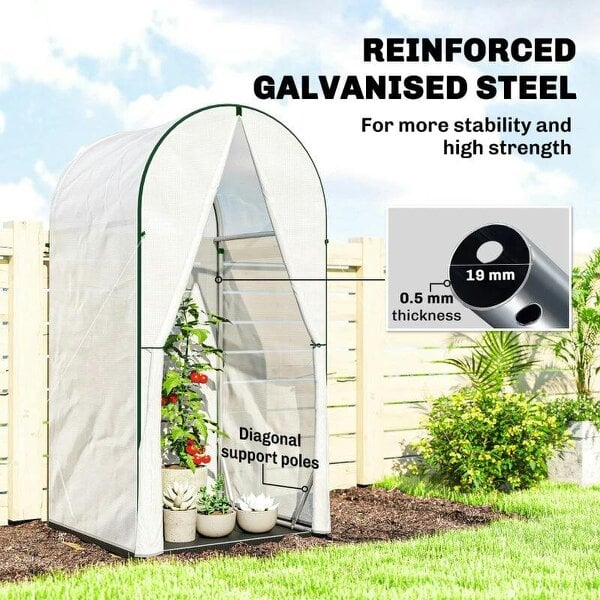 Bobobiy Mini Greenhouse, Portable Green House with Roll-Up Door, PE Base, Small Greenhouse, 100 x 100 x 195 cm, White
