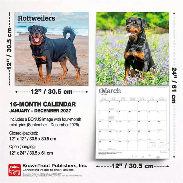 Rottweilers Calendar 2027, Wall Calendars, Month To View, Dogs, Gift