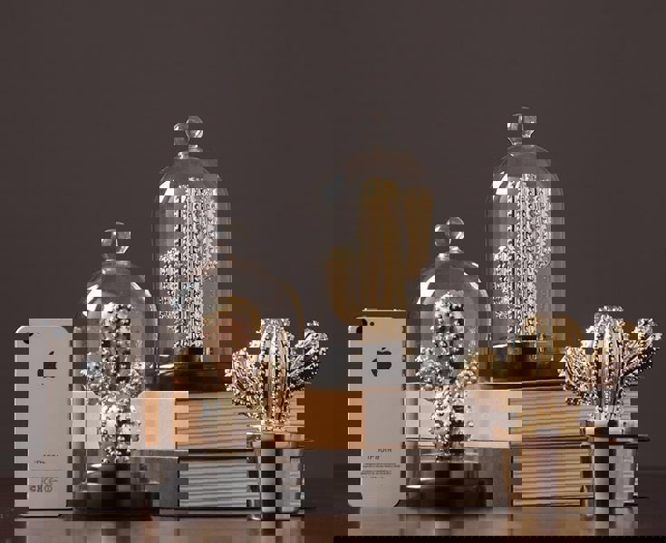 Decoration: A Set Of Four Cactus-Weilai Concept-Weilai Concept