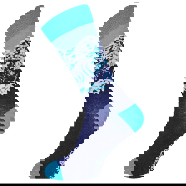 t4option1_1