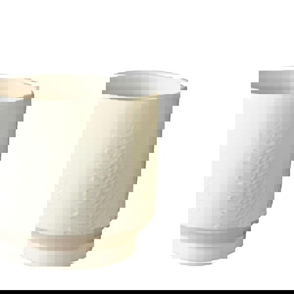 #color_ivory