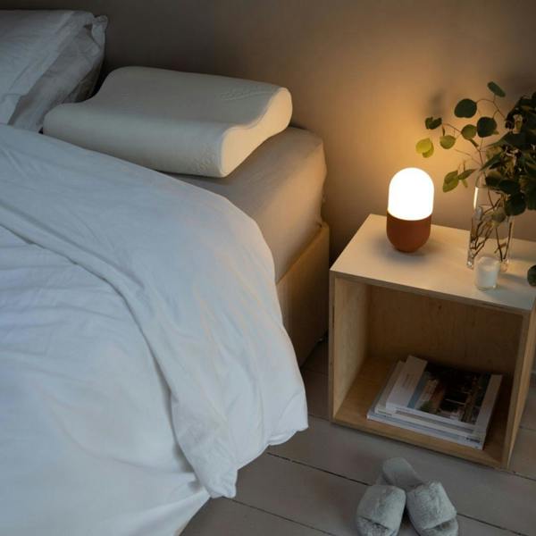 Putnams Anti-Snore Memory Foam Contour Pillow