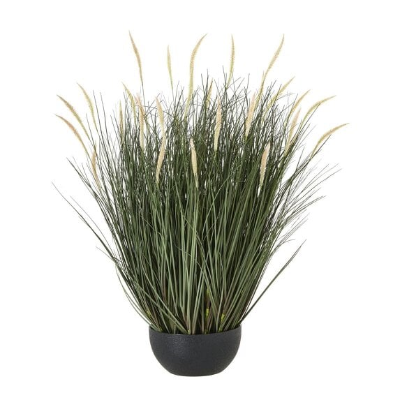 Wyld Haus Large 80cm Tall Grass Plant (pot not included)