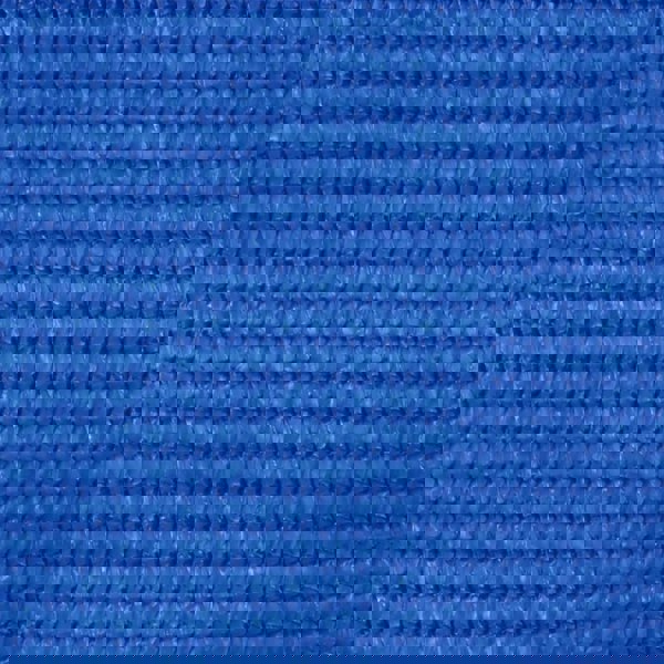 Berkfield Tent Carpet 250x500 cm Blue
