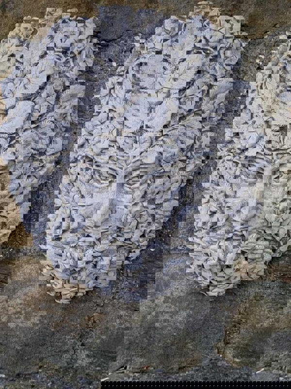 Stone Cast Large Female Leaf Wall Plaque